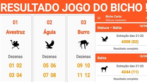 resultado do jogo de bicho da união